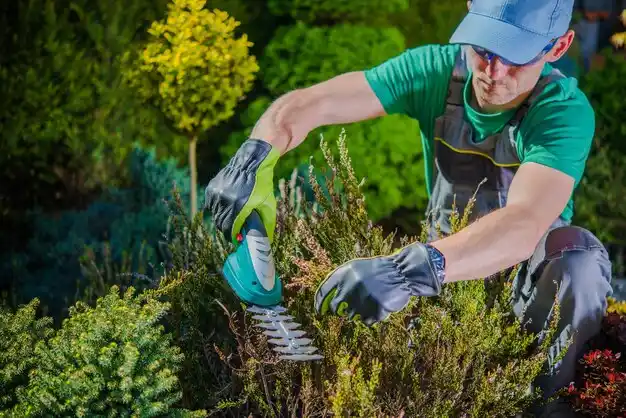 landscaping services Holly